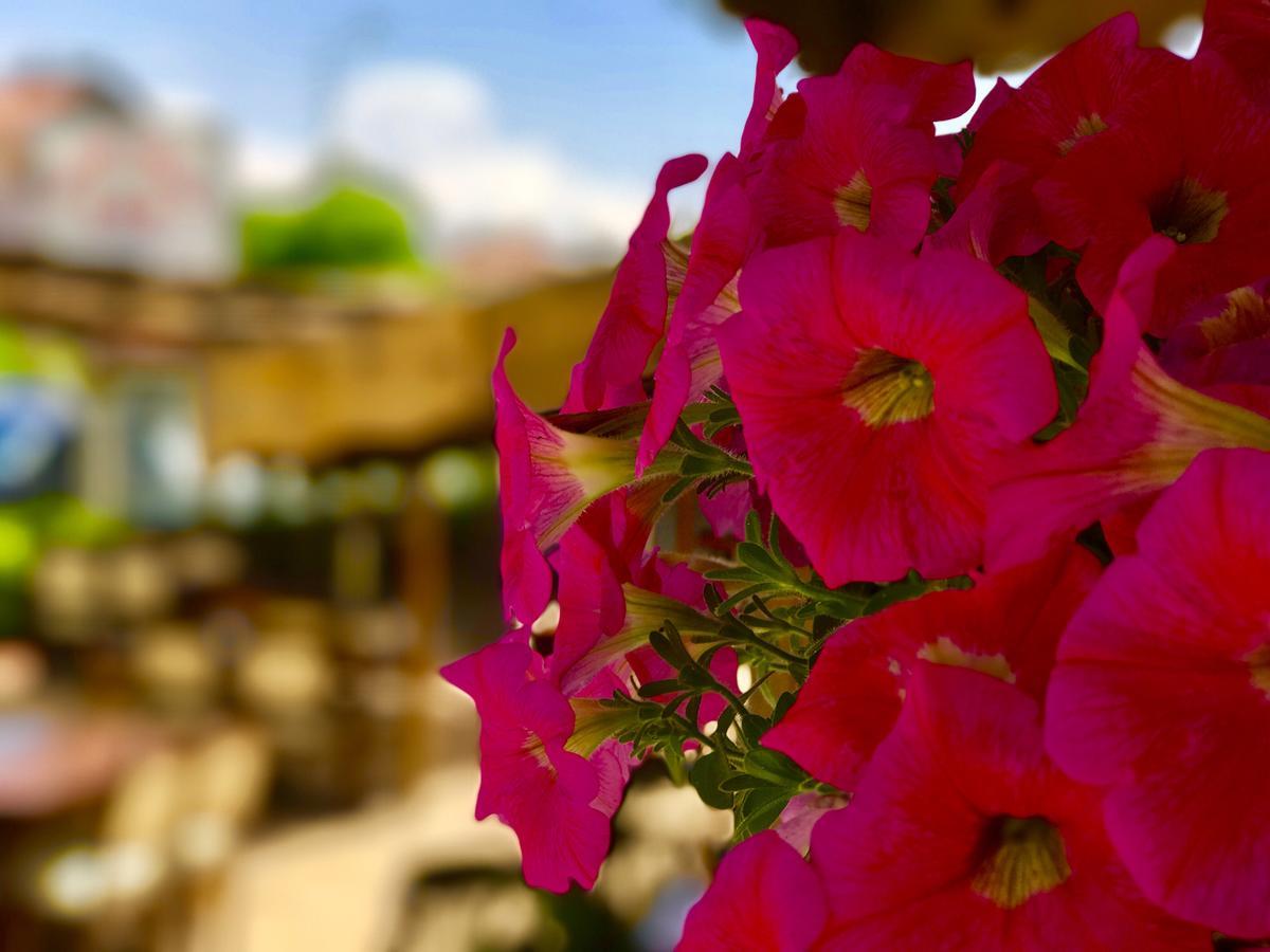 Nehir Apart Hotel Fethiye Exterior photo