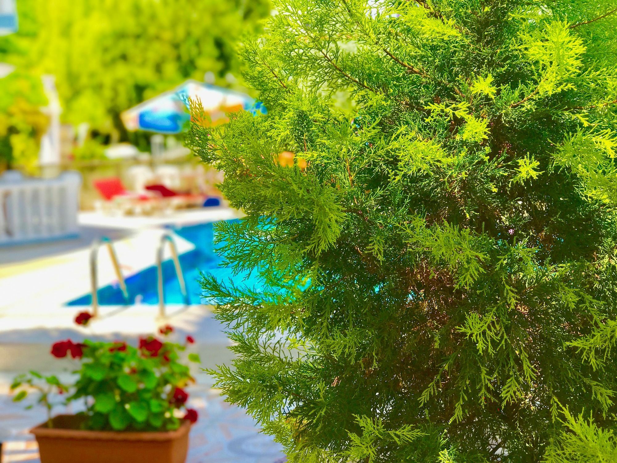 Nehir Apart Hotel Fethiye Exterior photo